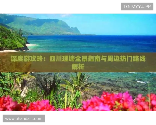 重庆羽毛球队的速度之美与技术探秘全景解析